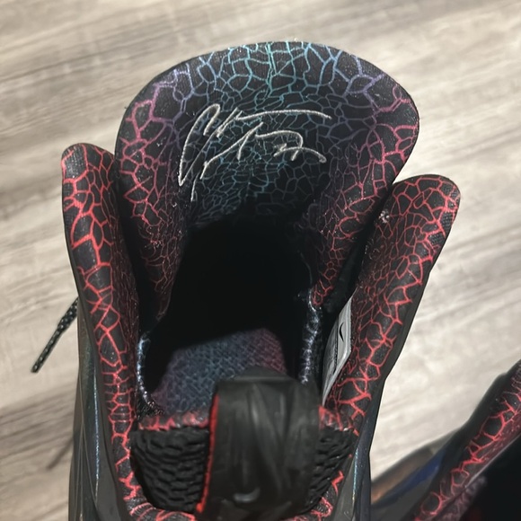Nike Air Charles Barkley Chuck Posite